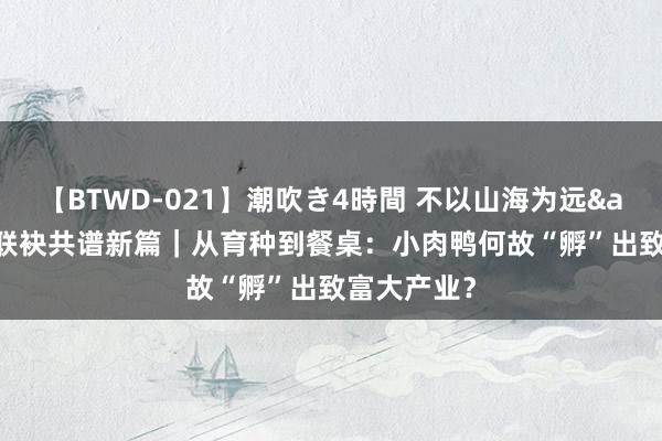 【BTWD-021】潮吹き4時間 不以山海为远&#32;联袂共谱新篇｜从育种到餐桌：小肉鸭何故“孵”出致富大产业？