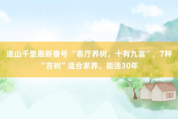 遠山千里最新番号 “客厅养树，十有九富”，7种“吉树”适合家养，能活30年