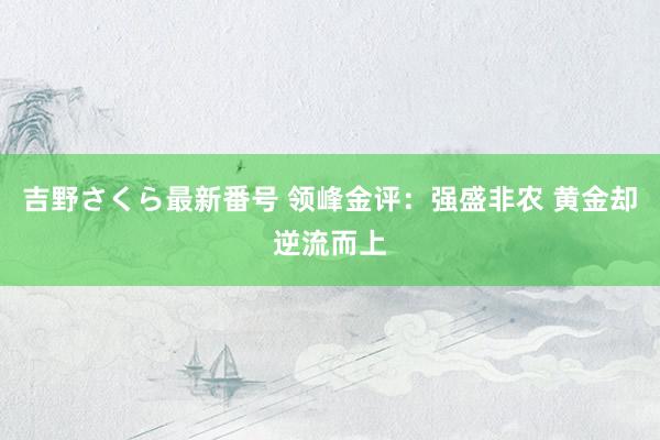 吉野さくら最新番号 领峰金评：强盛非农 黄金却逆流而上