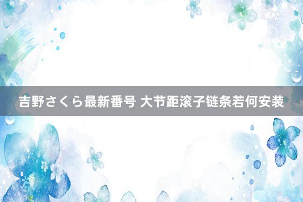 吉野さくら最新番号 大节距滚子链条若何安装