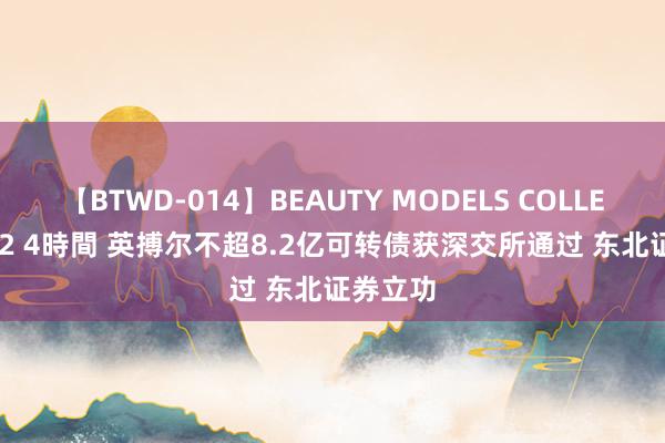 【BTWD-014】BEAUTY MODELS COLLECTION 2 4時間 英搏尔不超8.2亿可转债获深交所通过 东北证券立功