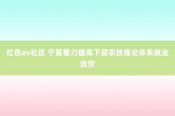 红色av社区 宁夏着力提高下层农技推论体系就业效劳