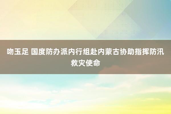 吻玉足 国度防办派内行组赴内蒙古协助指挥防汛救灾使命