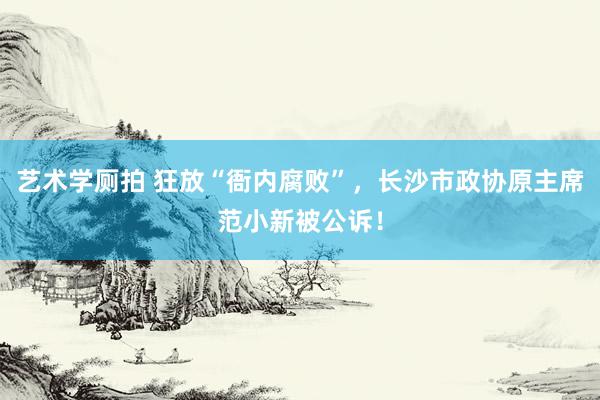 艺术学厕拍 狂放“衙内腐败”，长沙市政协原主席范小新被公诉！