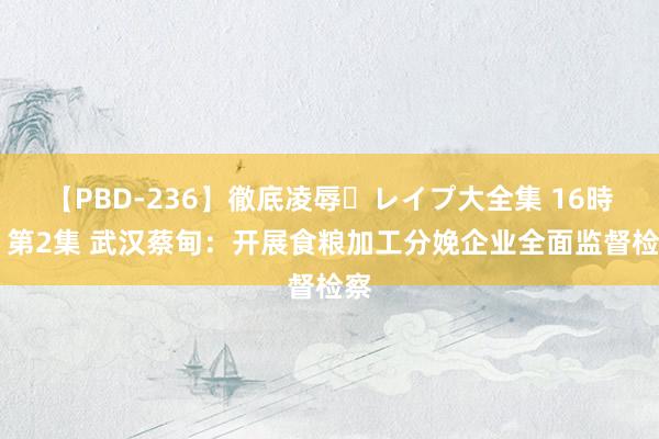 【PBD-236】徹底凌辱・レイプ大全集 16時間 第2集 武汉蔡甸：开展食粮加工分娩企业全面监督检察