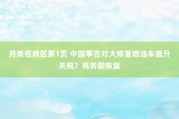 另类视频区第1页 中国事否对大排量燃油车提升关税？商务部恢复