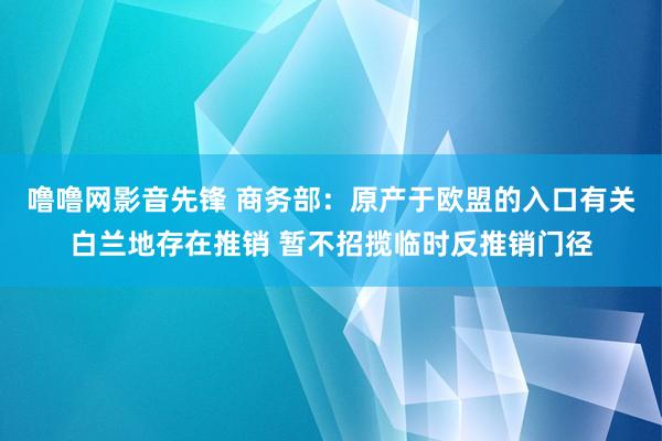 噜噜网影音先锋 商务部：原产于欧盟的入口有关白兰地存在推销 暂不招揽临时反推销门径