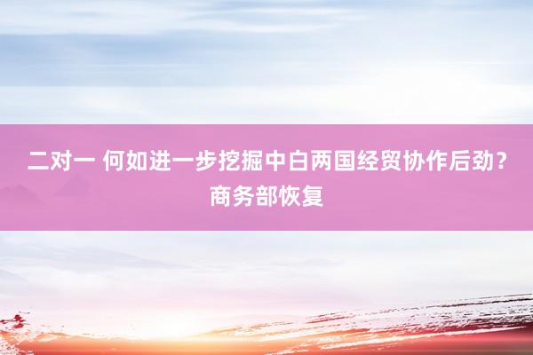 二对一 何如进一步挖掘中白两国经贸协作后劲？商务部恢复