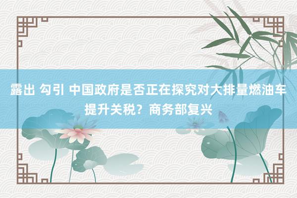 露出 勾引 中国政府是否正在探究对大排量燃油车提升关税？商务部复兴