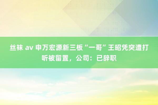 丝袜 av 申万宏源新三板“一哥”王昭凭突遭打听被留置，公司：已辞职