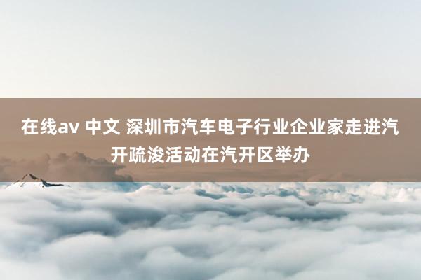 在线av 中文 深圳市汽车电子行业企业家走进汽开疏浚活动在汽开区举办