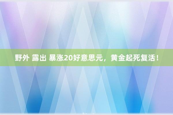 野外 露出 暴涨20好意思元，黄金起死复活！