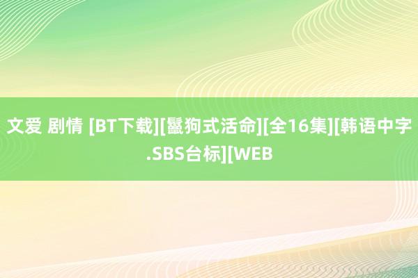 文爱 剧情 [BT下载][鬣狗式活命][全16集][韩语中字.SBS台标][WEB