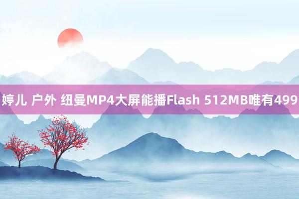 婷儿 户外 纽曼MP4大屏能播Flash 512MB唯有499