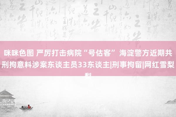 咪咪色图 严厉打击病院“号估客” 海淀警方近期共刑拘意料涉案东谈主员33东谈主|刑事拘留|网红雪梨